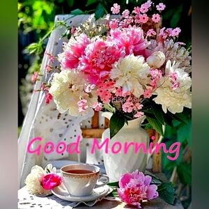 Meet your Posher, Monserrat